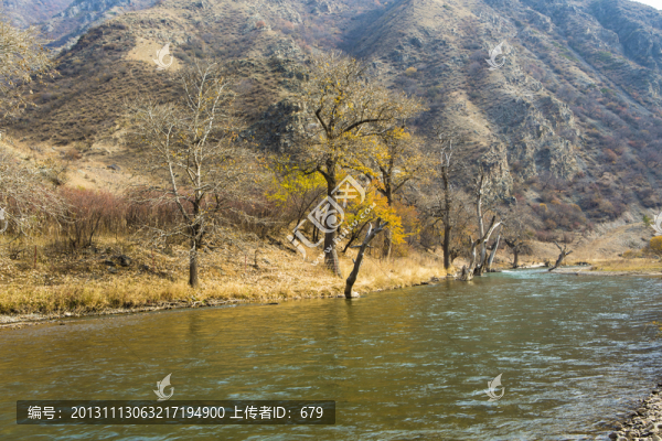 溪流