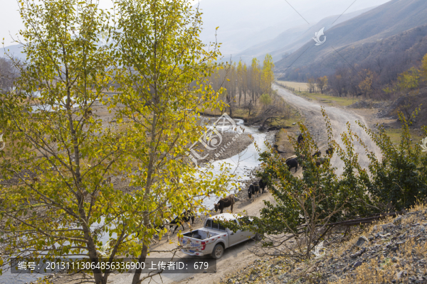 山路,,秋景