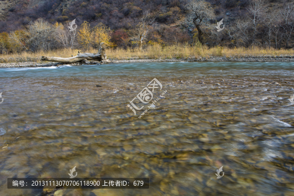 秋水