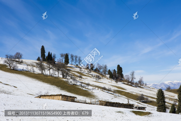 雪景