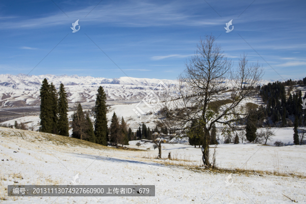雪景