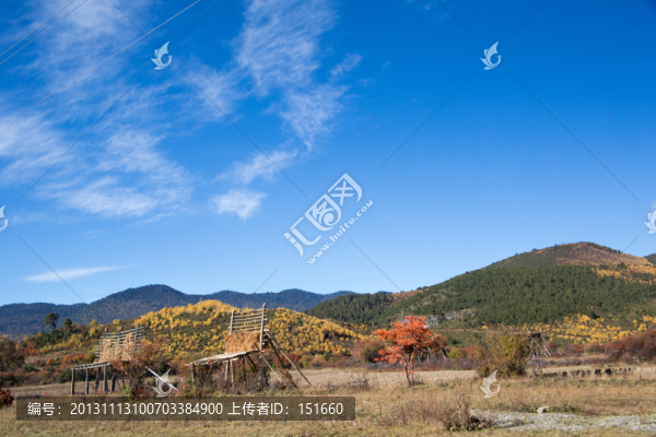 香格里拉田野秋色