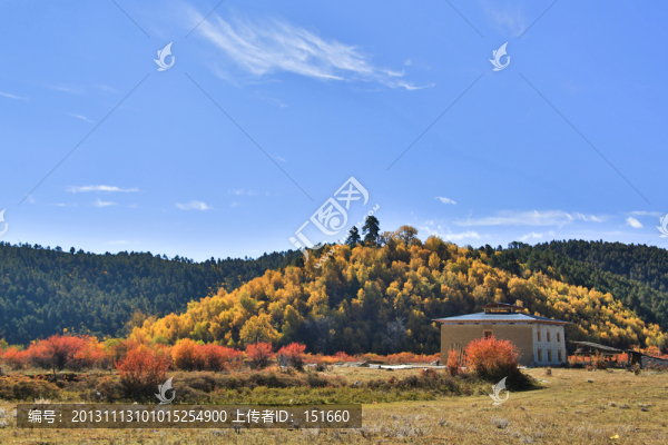 香格里拉田園秋色