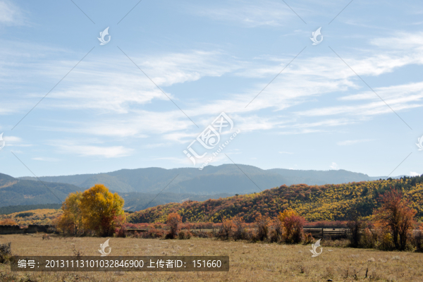 香格里拉田野秋色