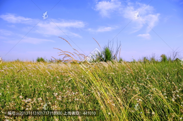 鄭州黃河濕地公園