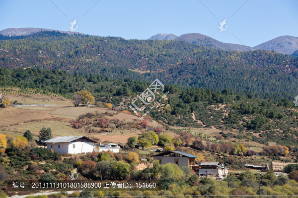 香格里拉鄉(xiāng)村秋色