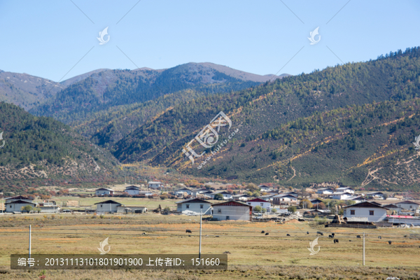 香格里拉鄉(xiāng)村秋色