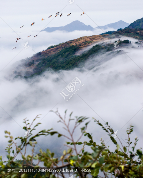 山