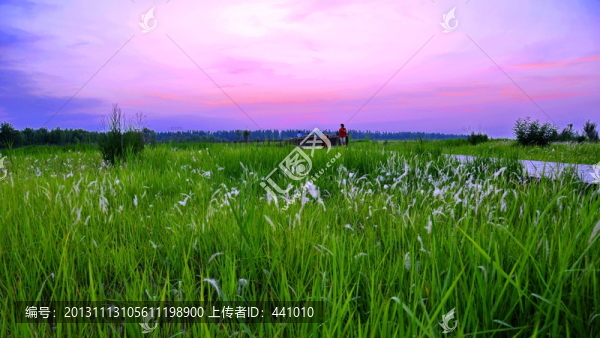鄭州黃河濕地公園