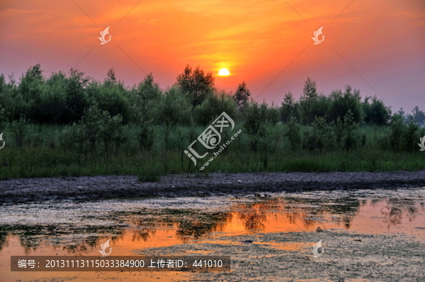 鄭州黃河濕地公園