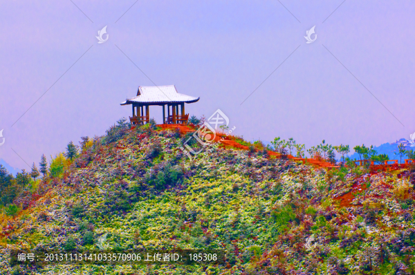 山村