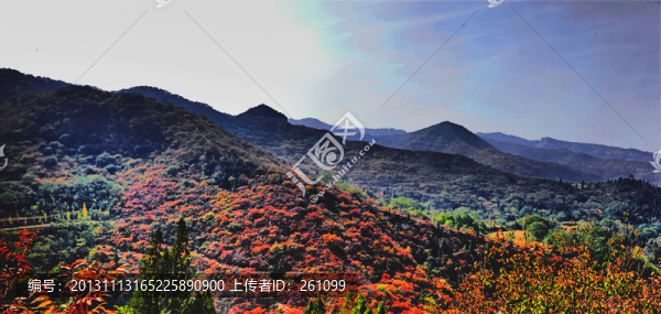 秋色,山川（非高清）