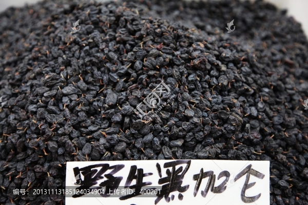 野生黑加侖葡萄干
