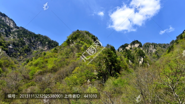 老界嶺風(fēng)光