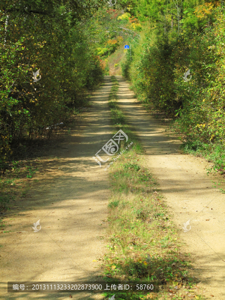 山路