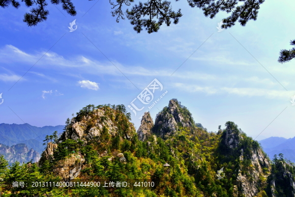 老界嶺風(fēng)光