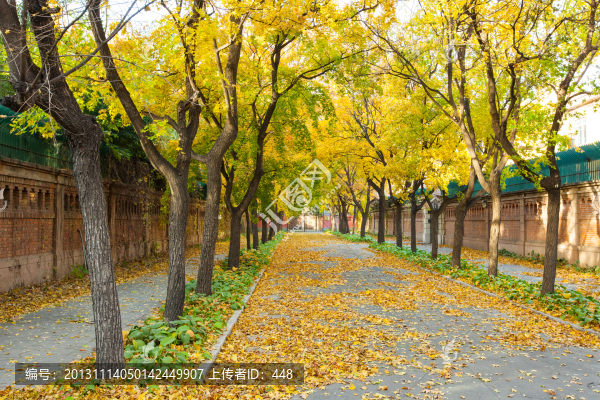 北京使館區(qū)秋景