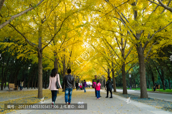 地壇公園,秋天游園