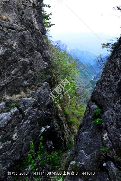 老界嶺風(fēng)光