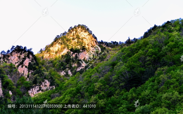 老界嶺風(fēng)光