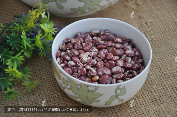 花江豆,,,花云江豆