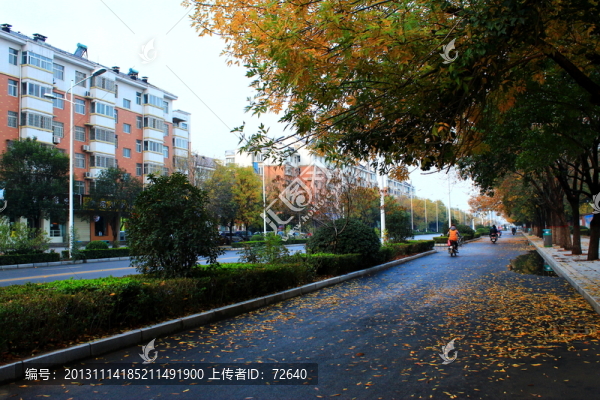 秋天的街景