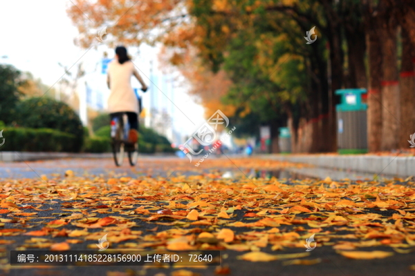 秋天的街景