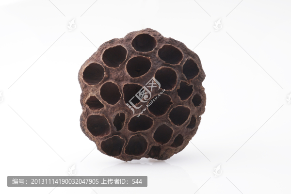 蓮蓬