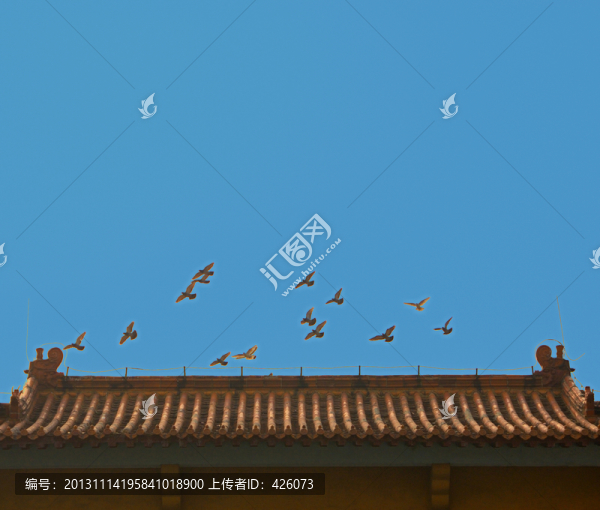 宮殿上飛翔的鴿子