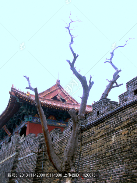 城樓城墻古樹