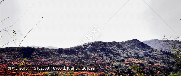 秋色,山川（高清）