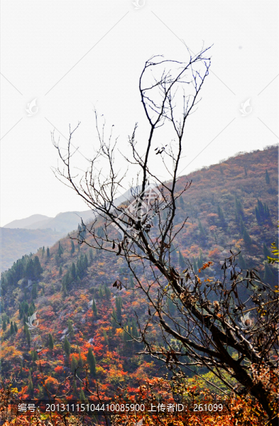 秋色,山川（高清）