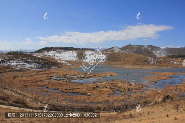 草地