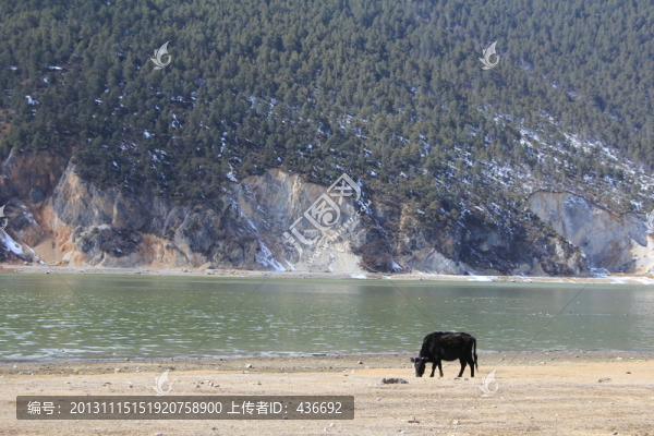云南風(fēng)景