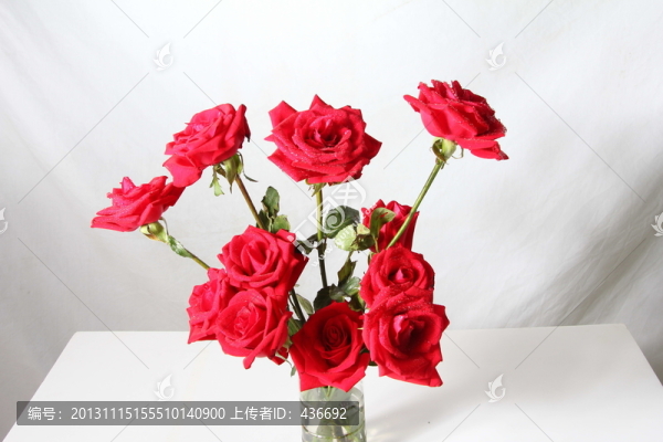 玫瑰花