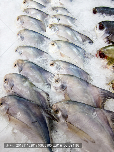 冰柜里的海鮮魚(yú)類(lèi)