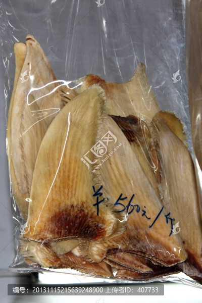 魚翅