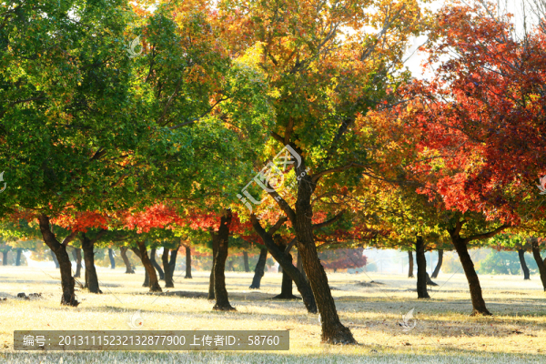 五角楓風(fēng)景區(qū)