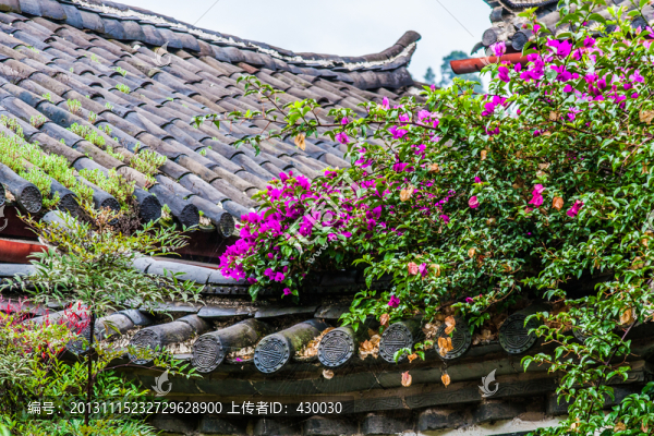 麗江古城