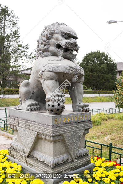 北京大學(xué),石獅子
