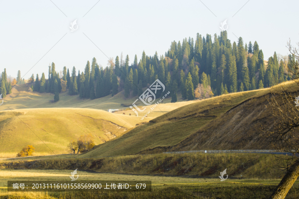 伊犁秋景