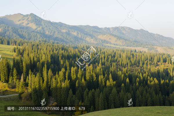 原始森林