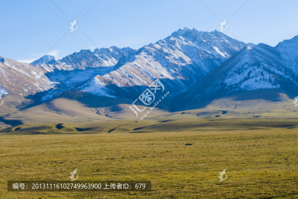 雪山,草原