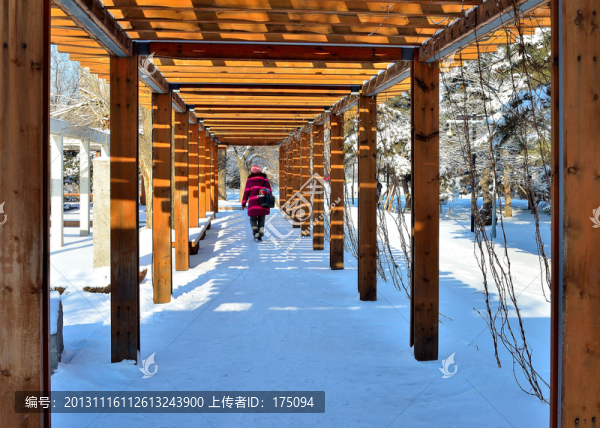 城市雪景