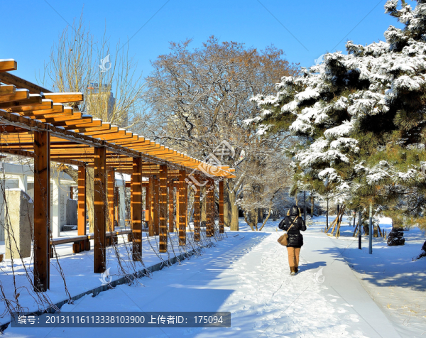 城市雪景