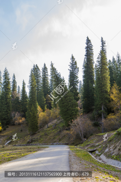 山路