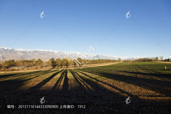 田野