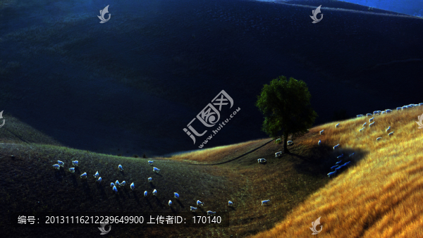 夏牧場(chǎng)