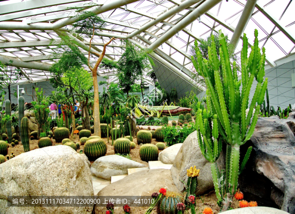 熱帶植物園