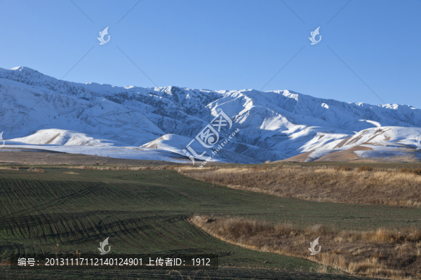 雪山,田野